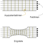 feldlinienelektrischesstroemungsfeld.png