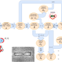 overviewonmagnetics.png