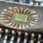 decapped_ic_travis_goodspeed.jpg