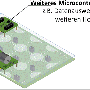 mexle_mockuptest3.gif