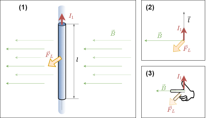 electrical_engineering_2:singleconductorinbfield.png