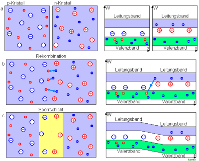 Evolution of the p-n junction