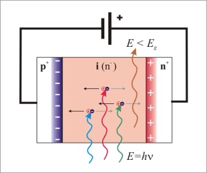 Absorption of photons in the intrinsic layer of a photodiode