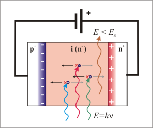 Absorption von Photonen in der intrinsischen Schicht einer Photodiode